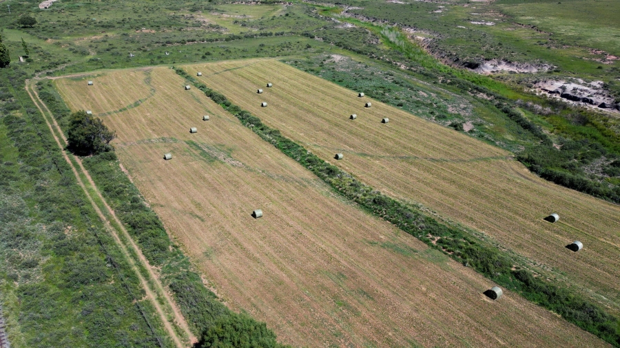 5 Bedroom Property for Sale in Steynsburg Rural Eastern Cape